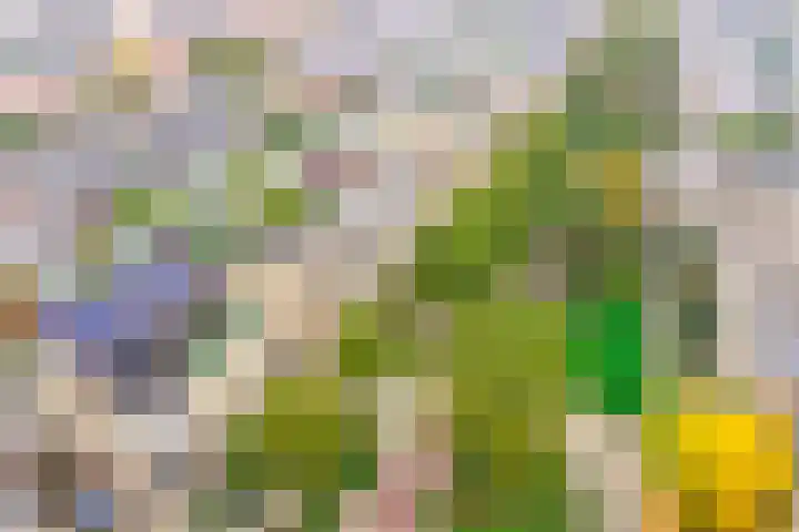 Veenmeer 35 Houten thumbnail 42