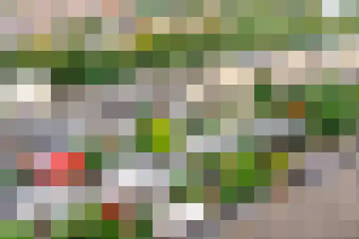 Veenmeer 35 Houten thumbnail 43