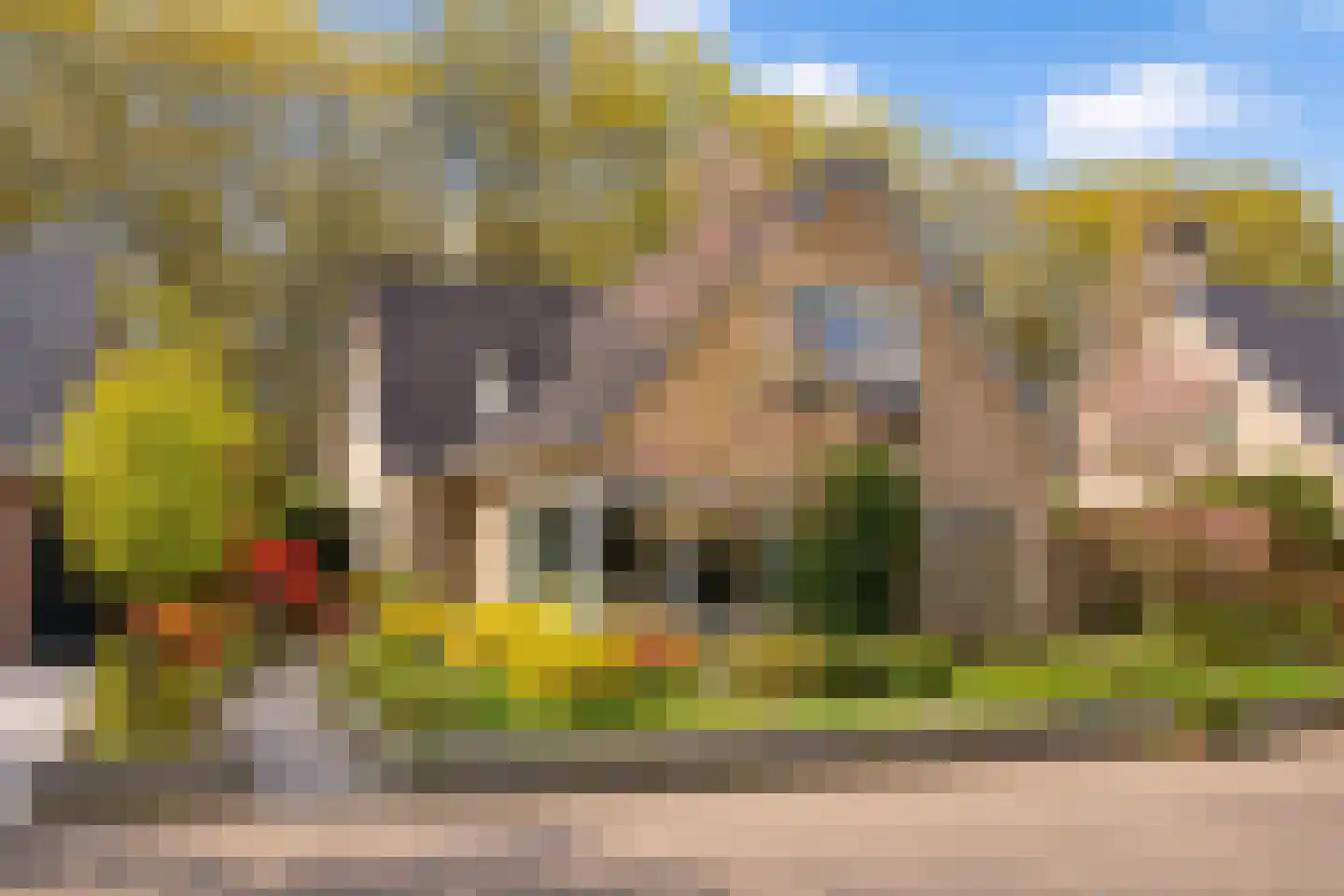 Veenmos 10 Veenendaal