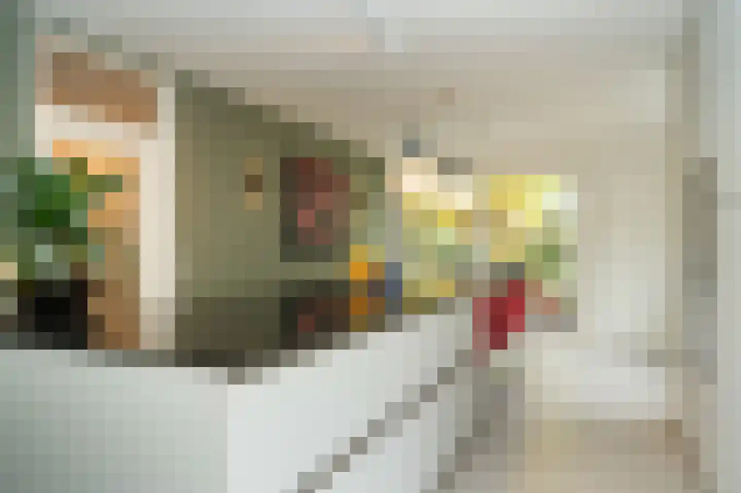 Veenmos 10 Veenendaal thumbnail 14