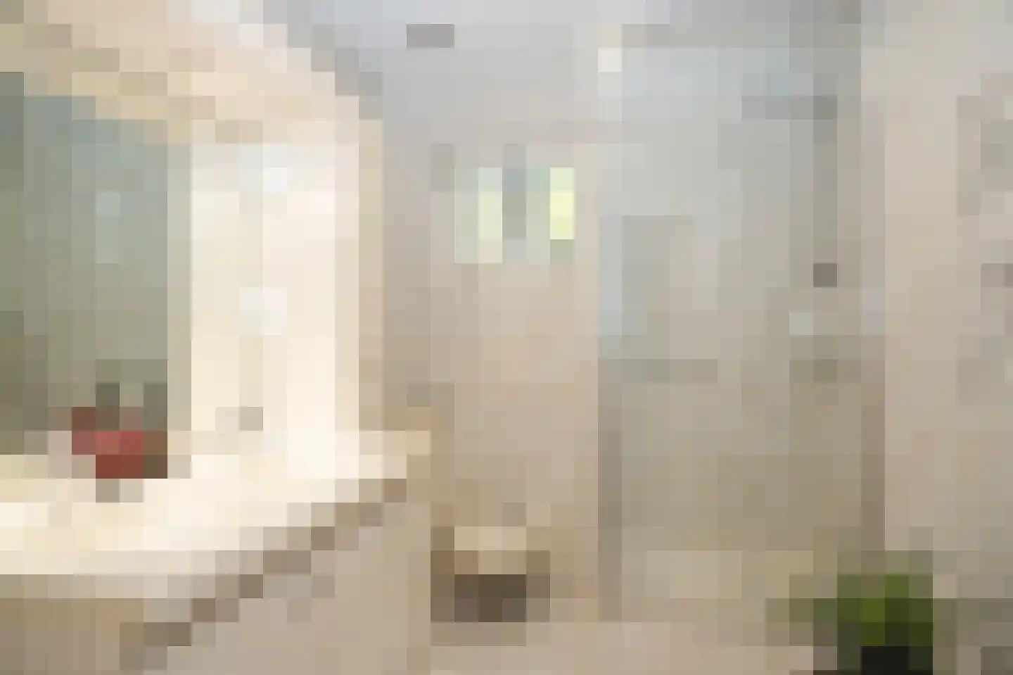 Veenmos 10 Veenendaal thumbnail 18