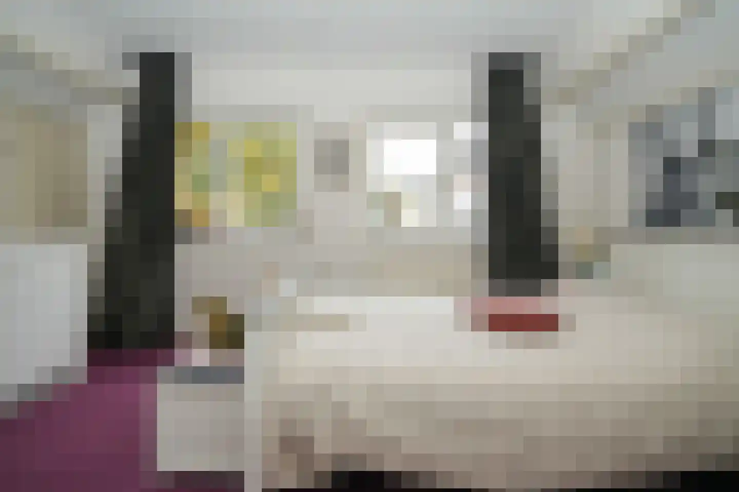 Veenmos 10 Veenendaal thumbnail 20
