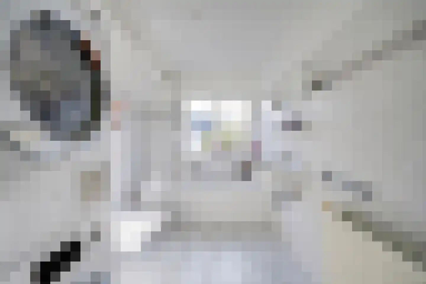 Veenmos 10 Veenendaal thumbnail 23