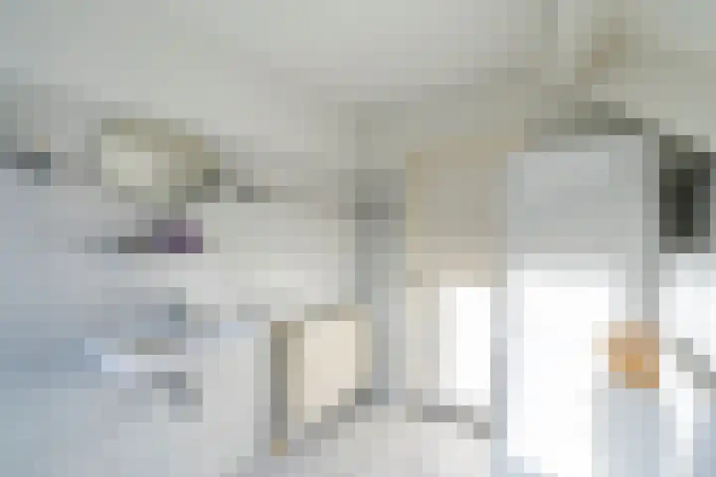 Veenmos 10 Veenendaal thumbnail 25