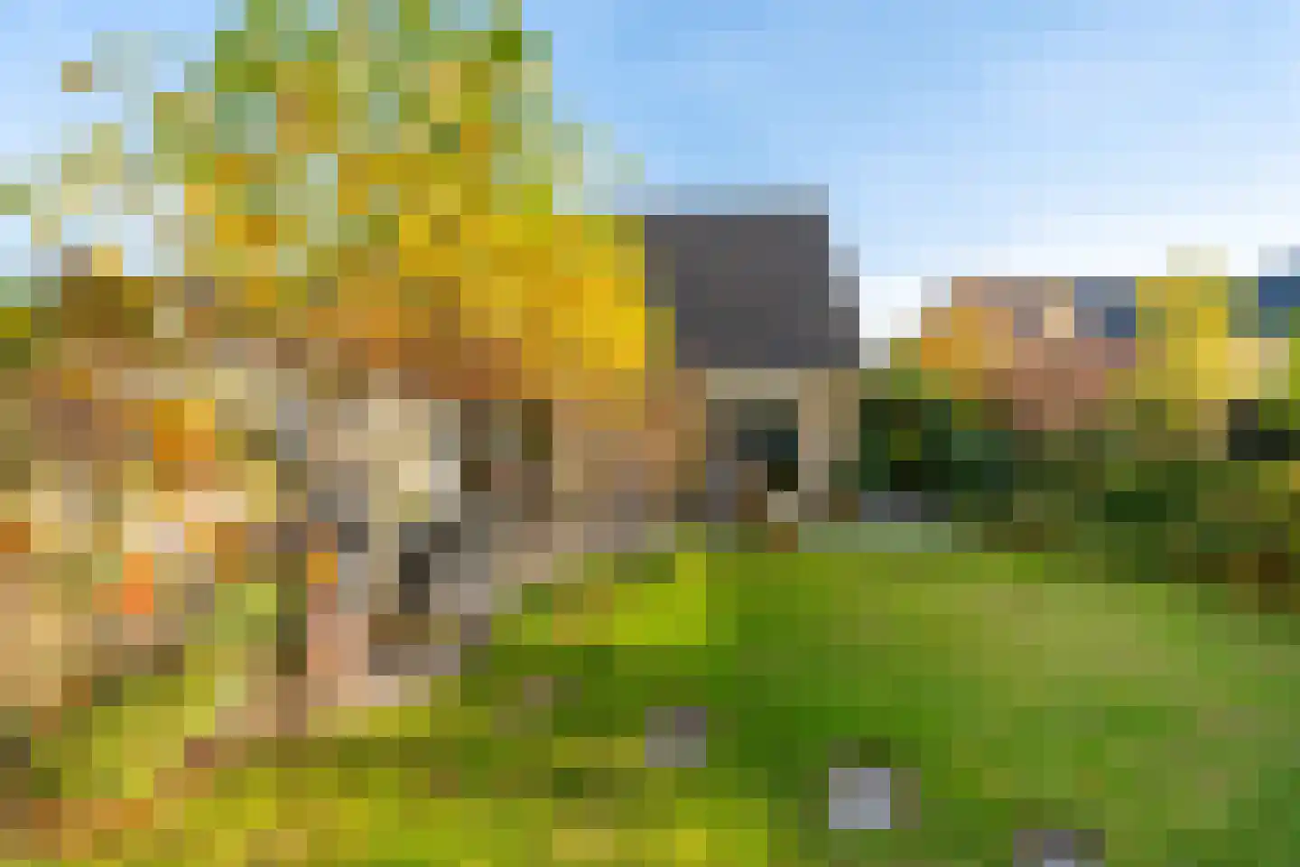 Veenmos 10 Veenendaal thumbnail 31