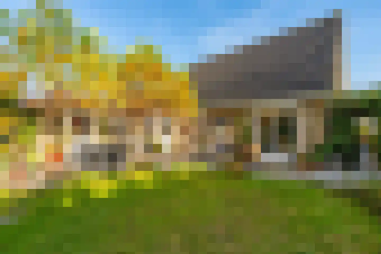 Veenmos 10 Veenendaal thumbnail 32