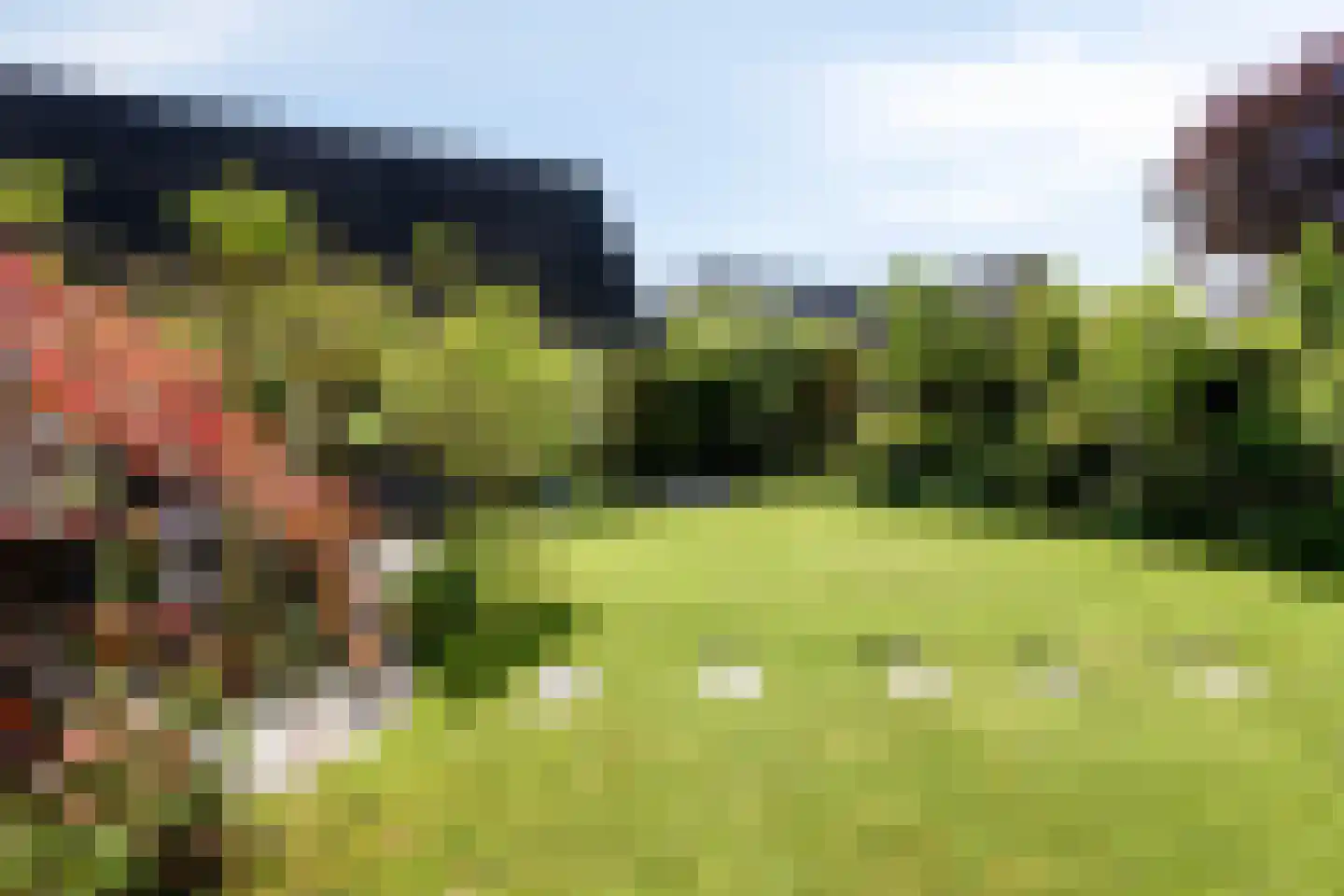 Veenmos 10 Veenendaal thumbnail 32