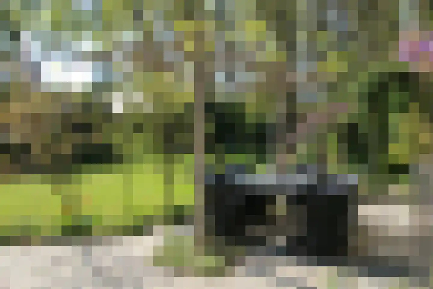 Veenmos 10 Veenendaal thumbnail 33