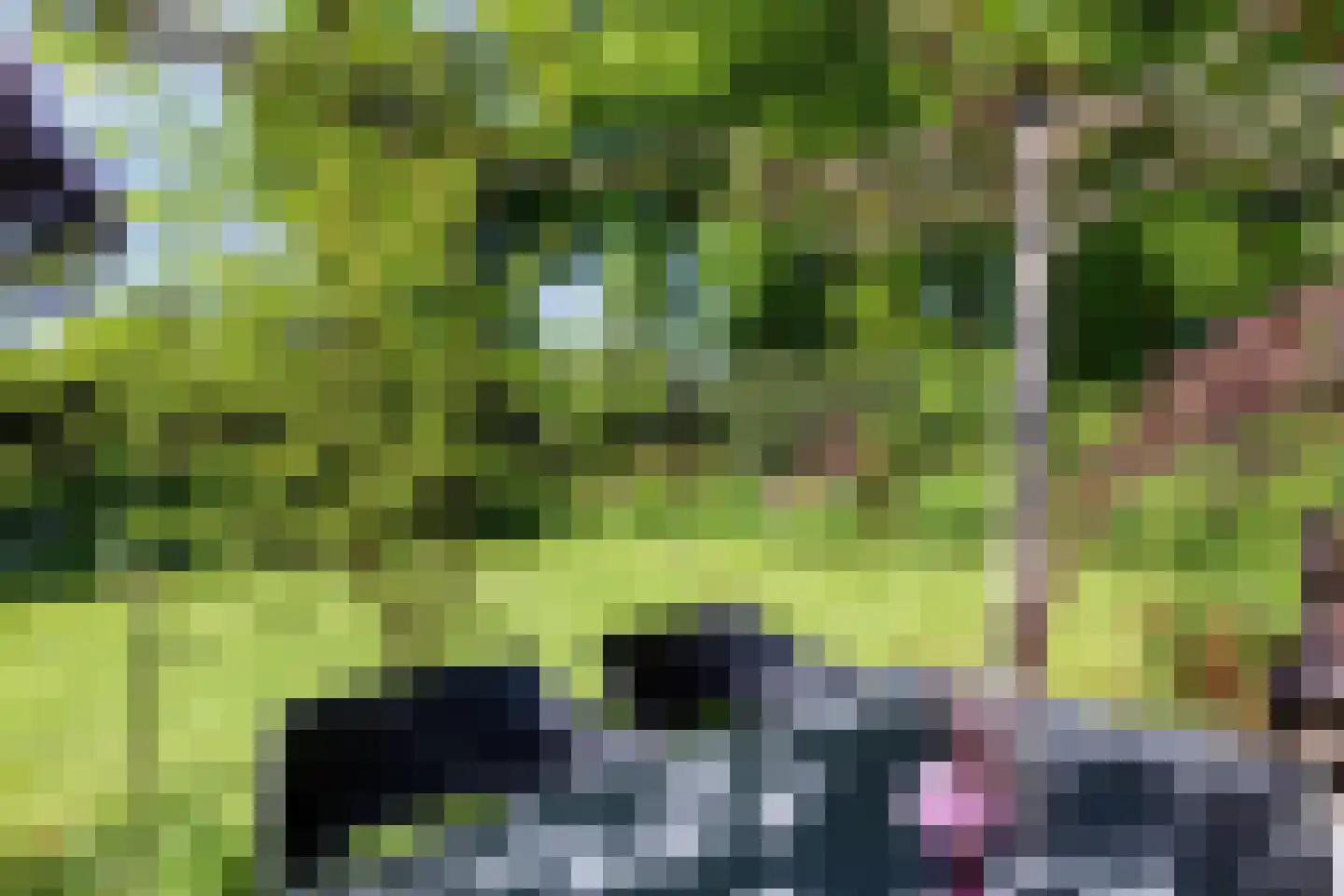 Veenmos 10 Veenendaal thumbnail 33