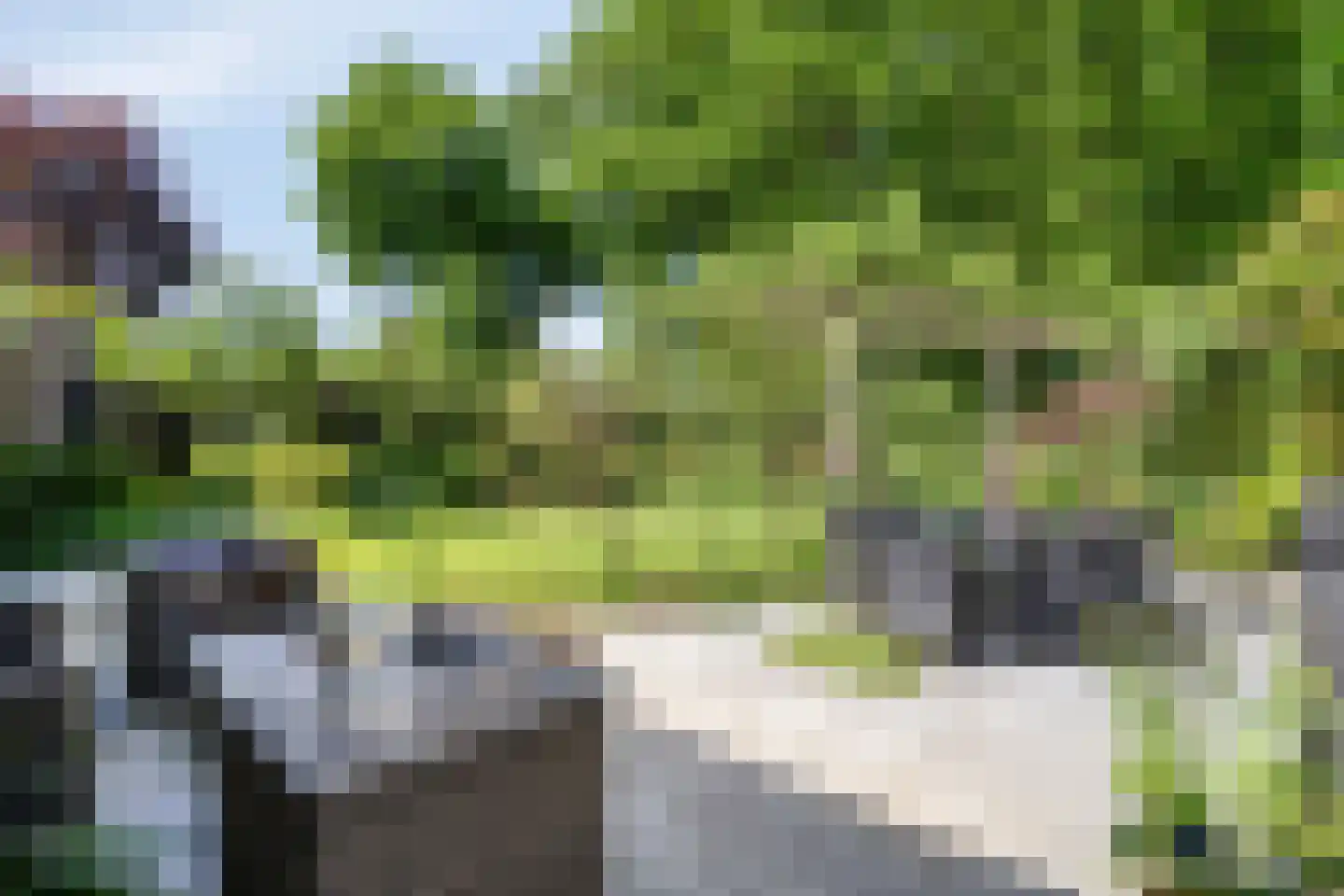 Veenmos 10 Veenendaal thumbnail 34