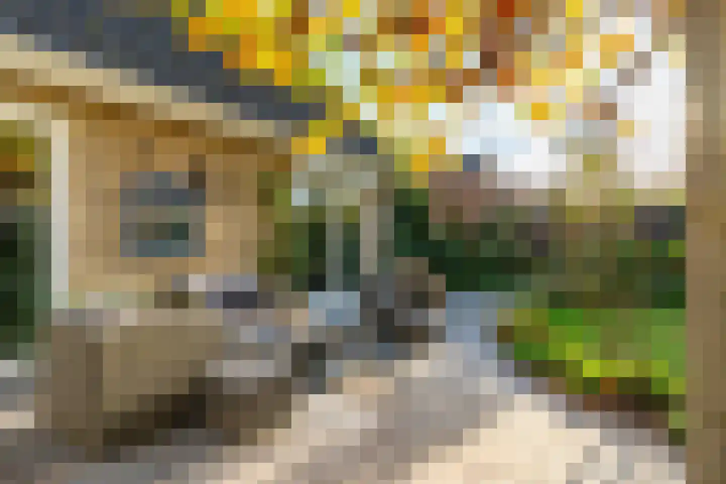 Veenmos 10 Veenendaal thumbnail 35