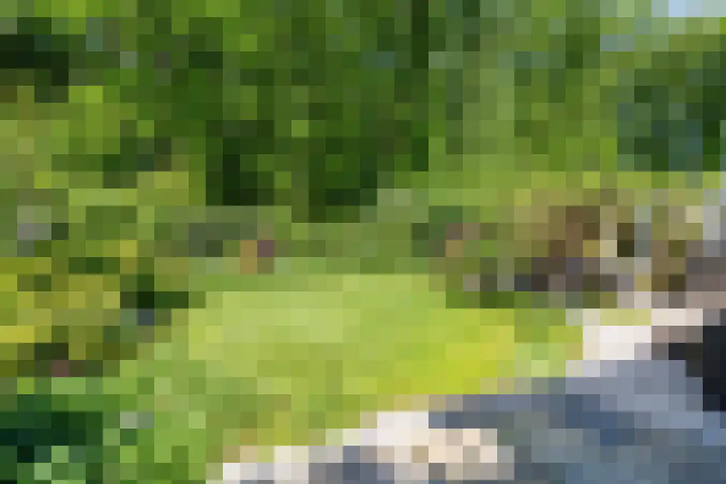 Veenmos 10 Veenendaal thumbnail 36