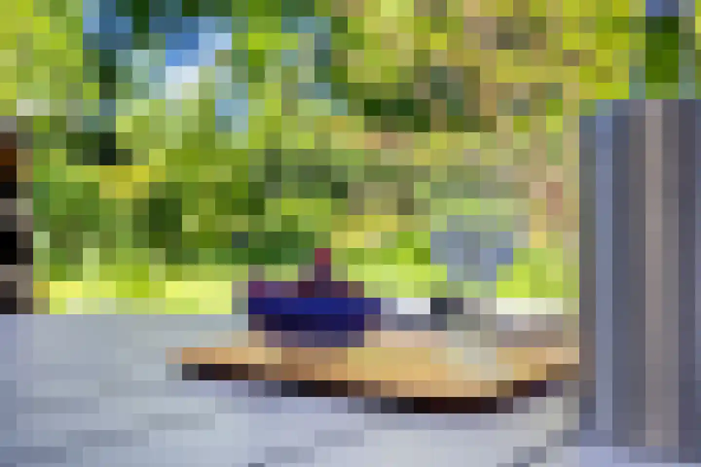 Veenmos 10 Veenendaal thumbnail 37