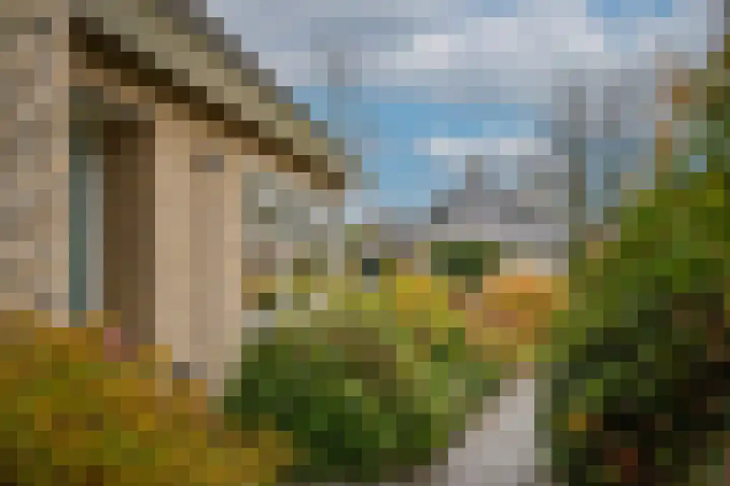 Veenmos 10 Veenendaal thumbnail 39