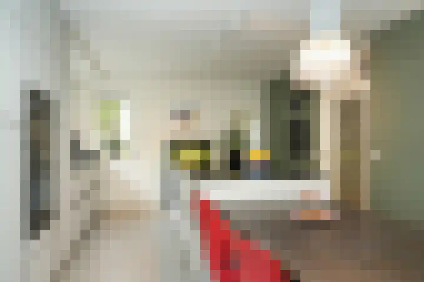 Veenmos 10 Veenendaal thumbnail 4