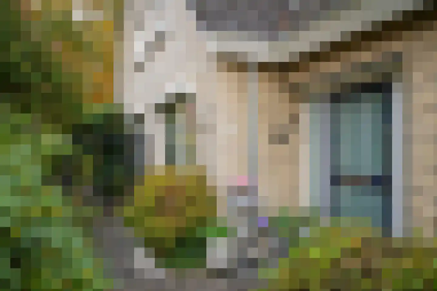 Veenmos 10 Veenendaal thumbnail 40