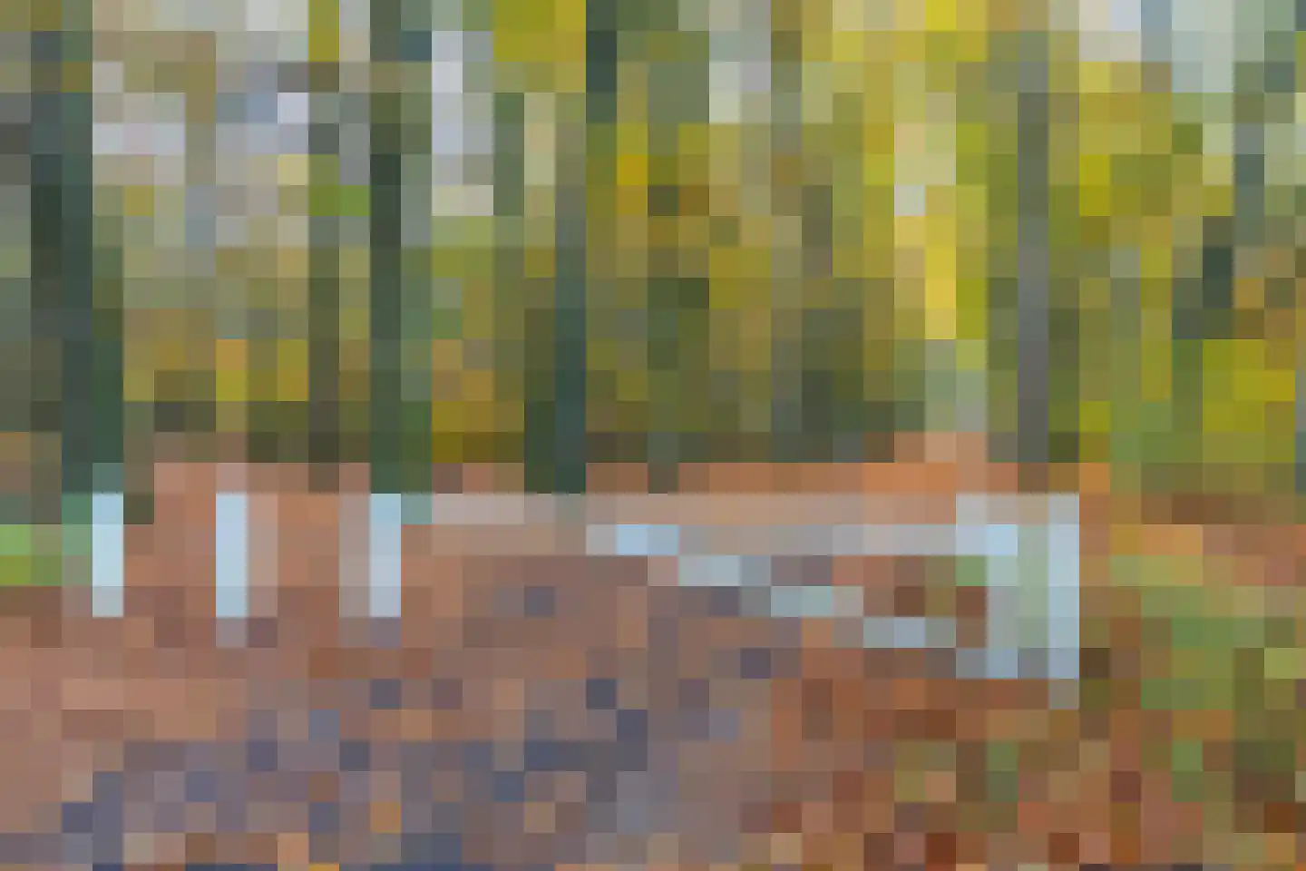 Veenmos 10 Veenendaal thumbnail 41