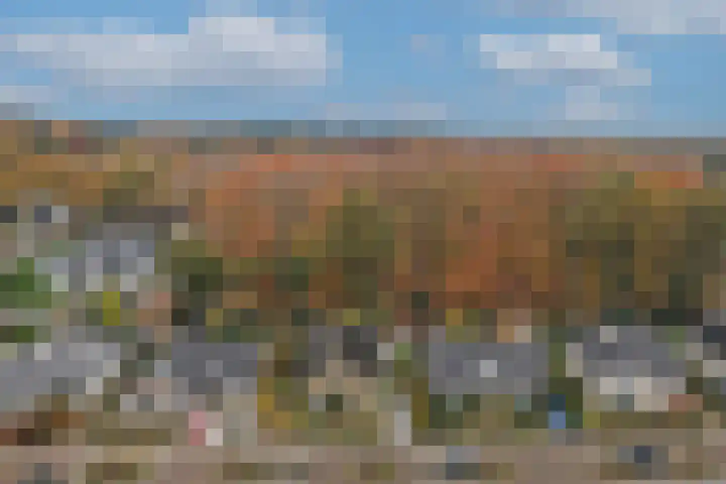 Veenmos 10 Veenendaal thumbnail 42