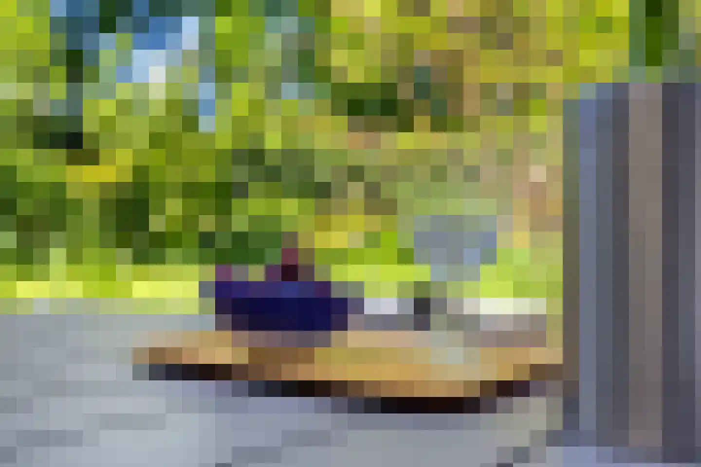 Veenmos 10 Veenendaal thumbnail 43