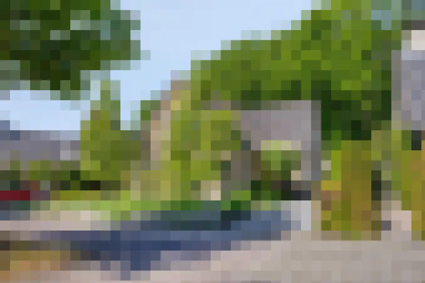 Veenmos 10 Veenendaal thumbnail 44