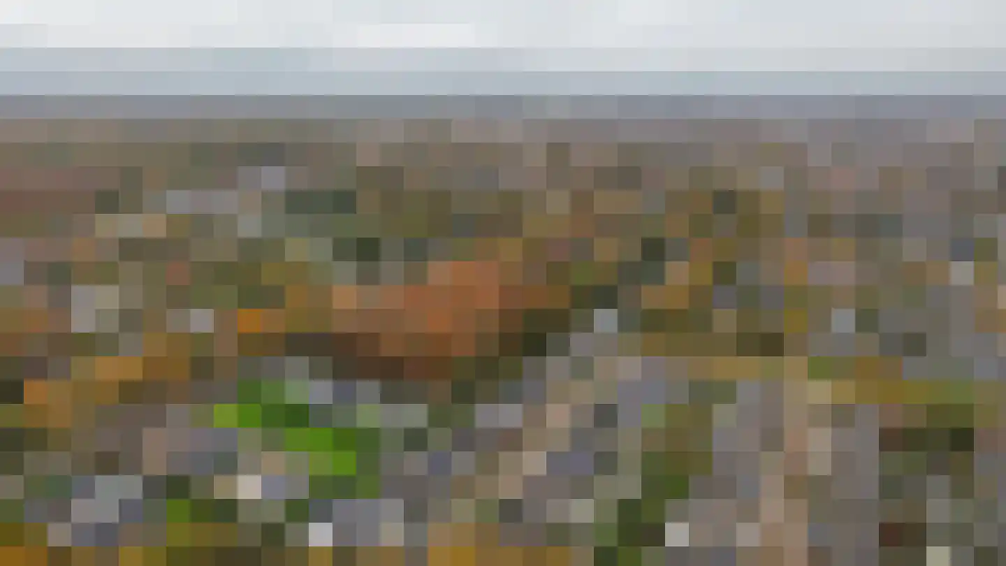 Veenmos 10 Veenendaal thumbnail 44