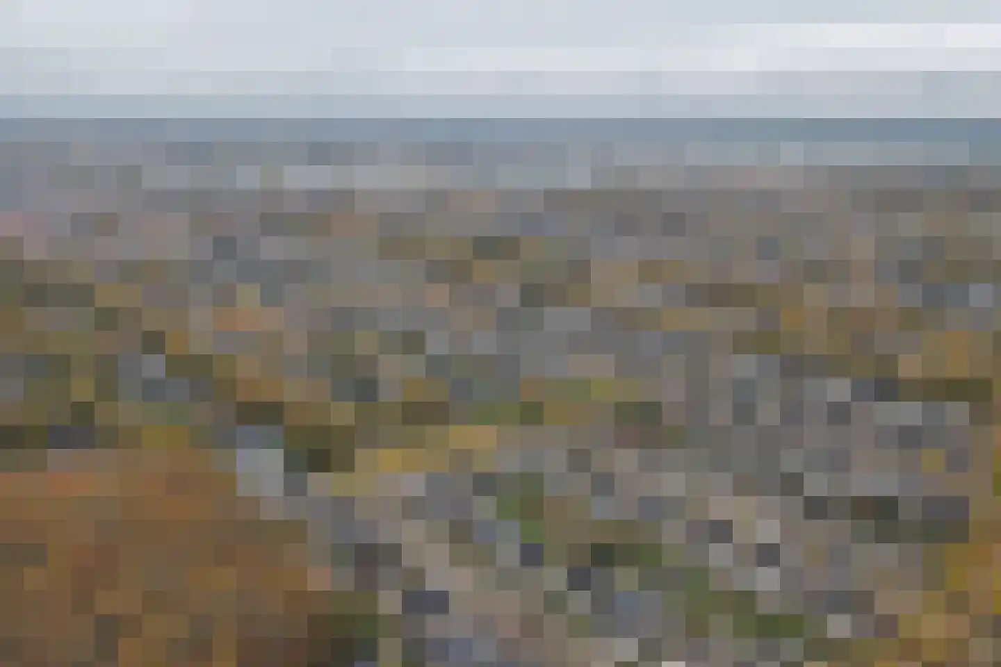 Veenmos 10 Veenendaal thumbnail 45