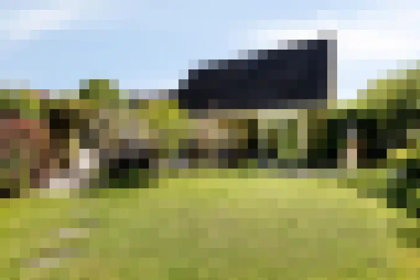 Veenmos 10 Veenendaal thumbnail 5