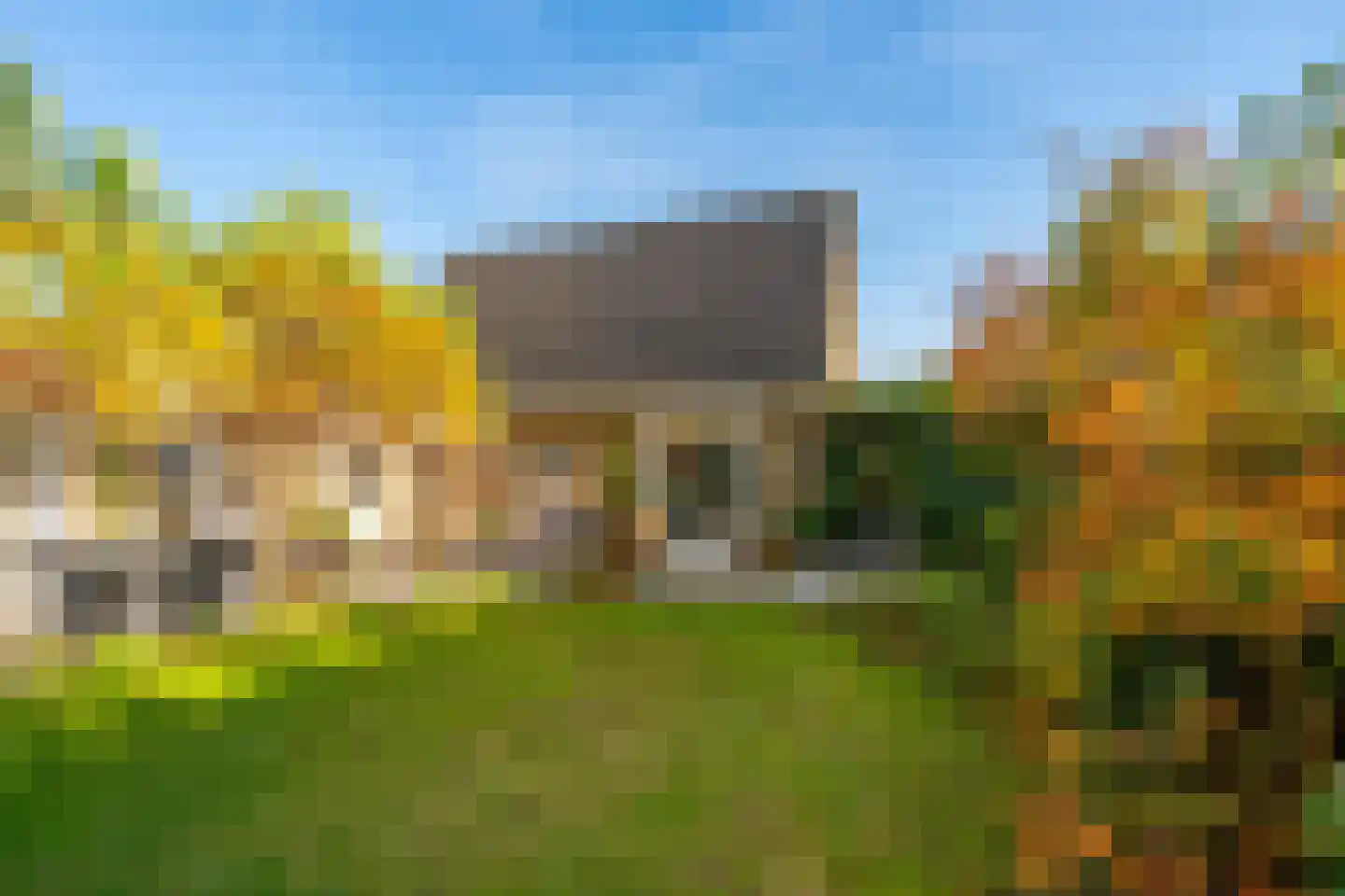 Veenmos 10 Veenendaal thumbnail 5