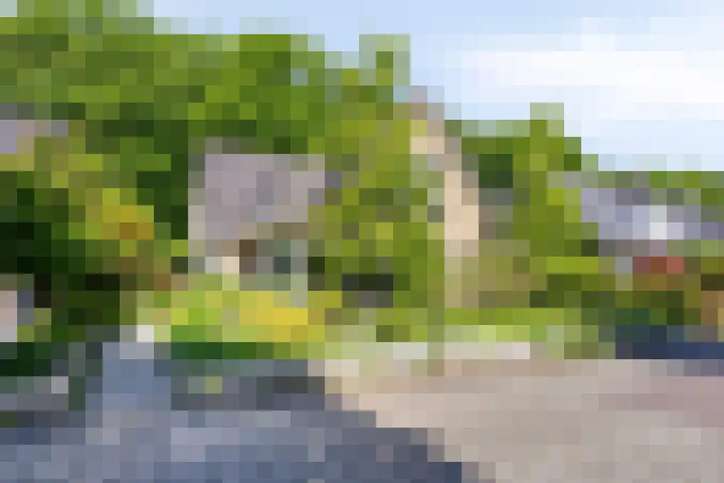 Veenmos 10 Veenendaal thumbnail 50