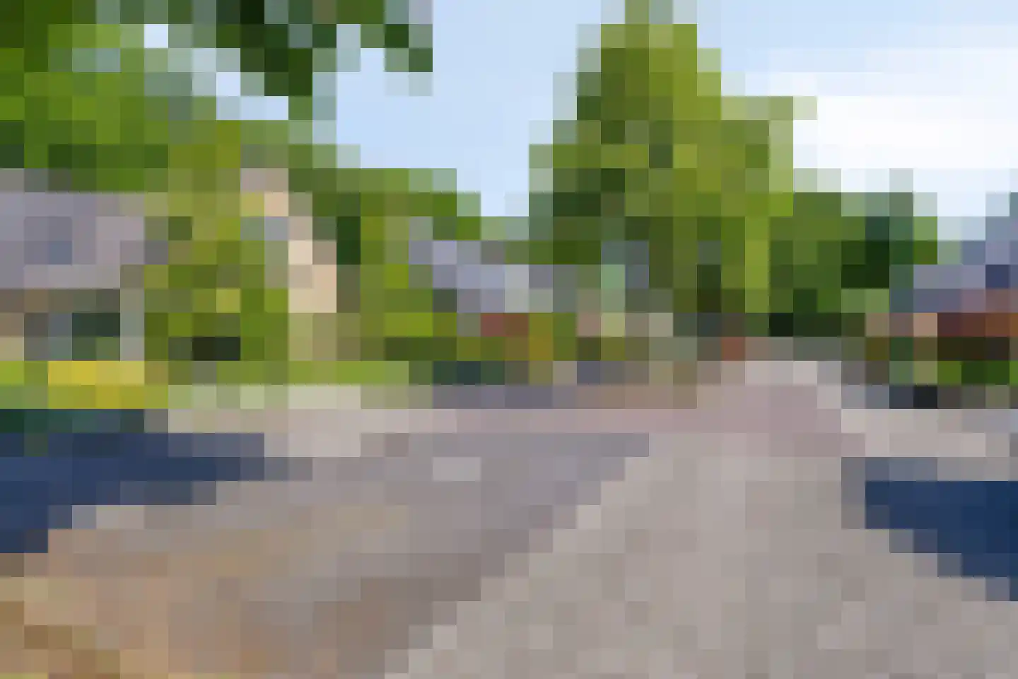 Veenmos 10 Veenendaal thumbnail 51