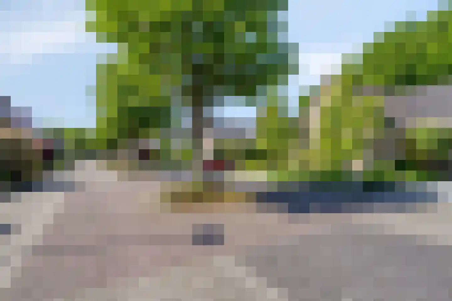 Veenmos 10 Veenendaal thumbnail 52