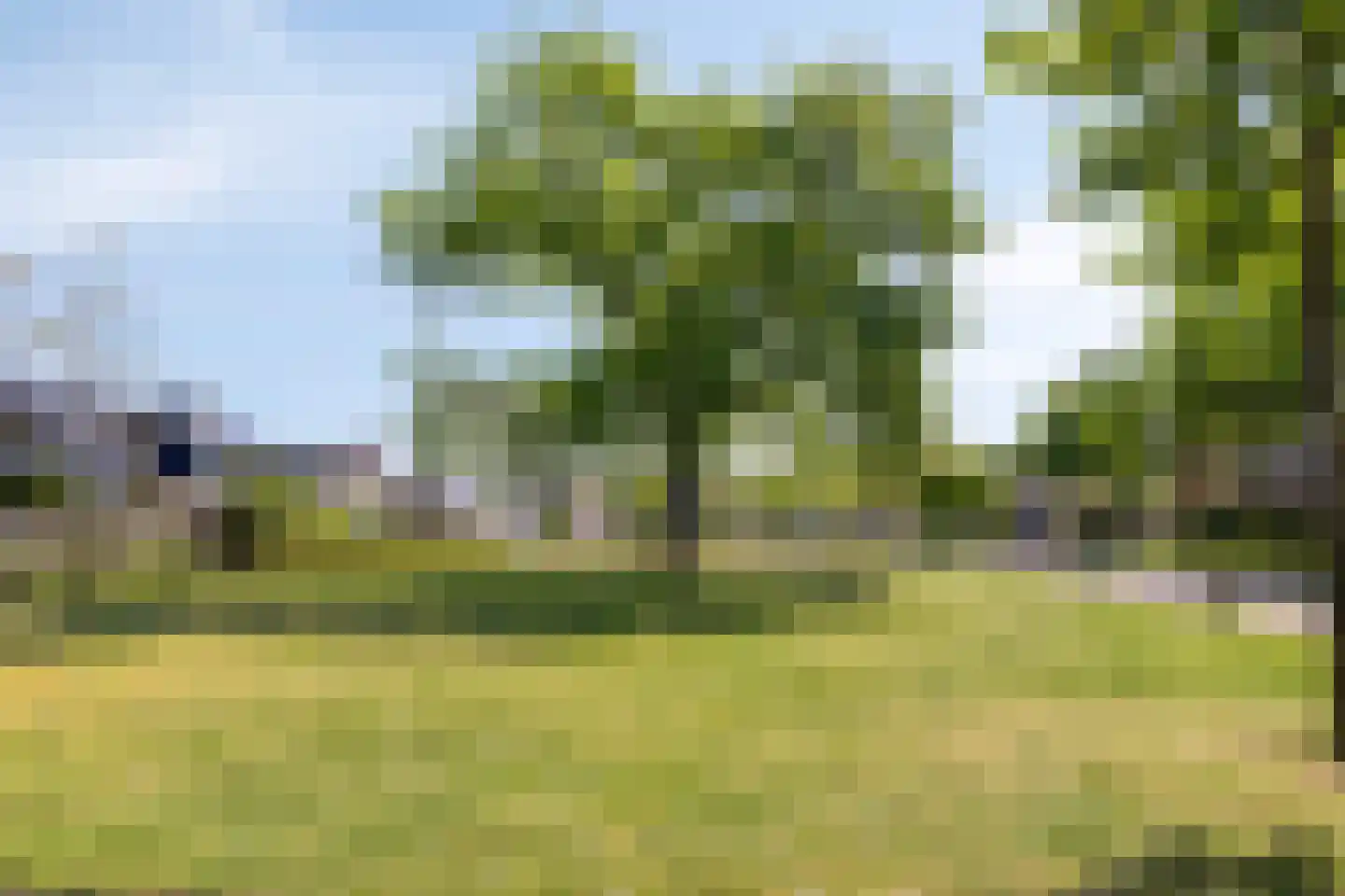 Veenmos 10 Veenendaal thumbnail 53