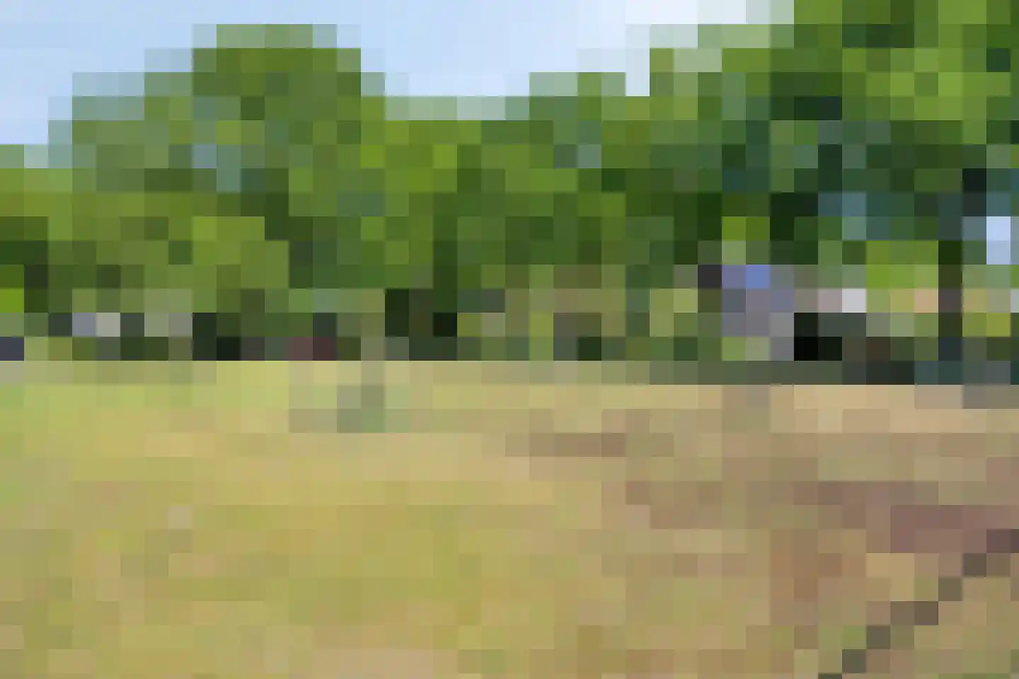 Veenmos 10 Veenendaal thumbnail 54