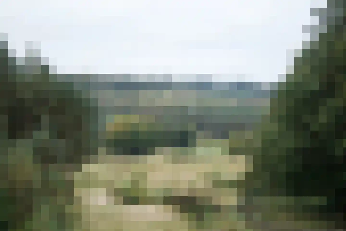 Veenmos 10 Veenendaal thumbnail 56