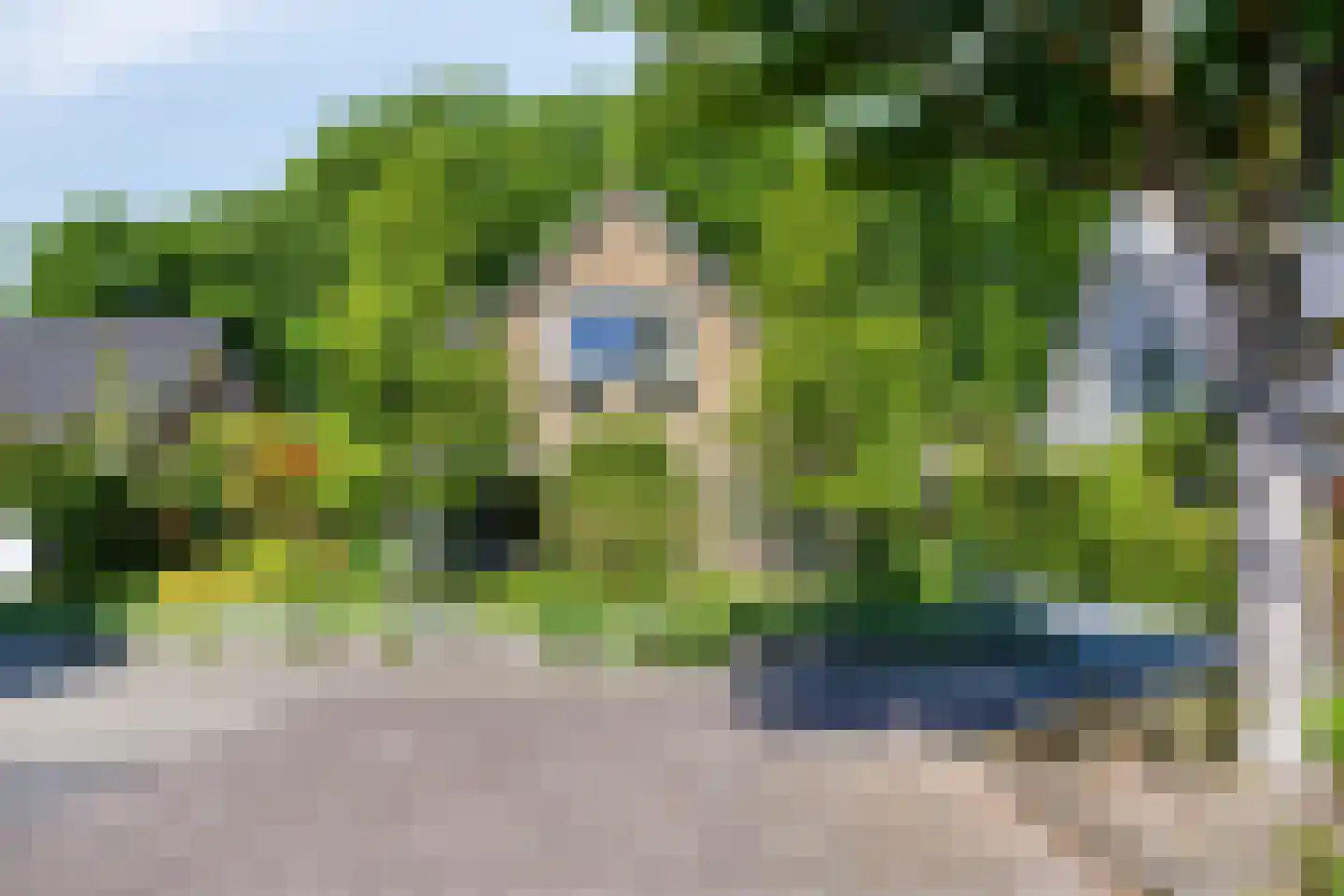 Veenmos 10 Veenendaal thumbnail 6