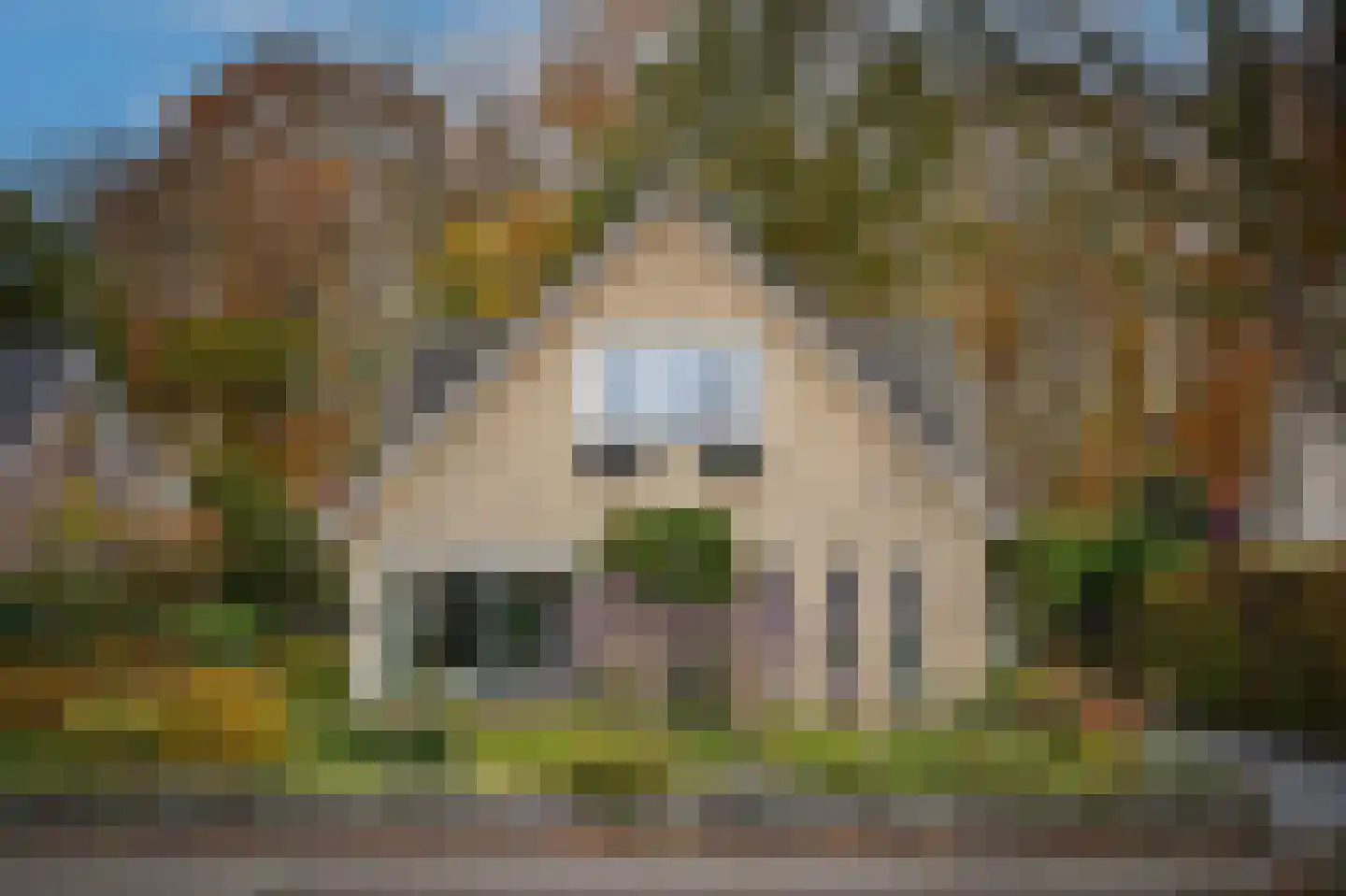 Veenmos 10 Veenendaal thumbnail 6