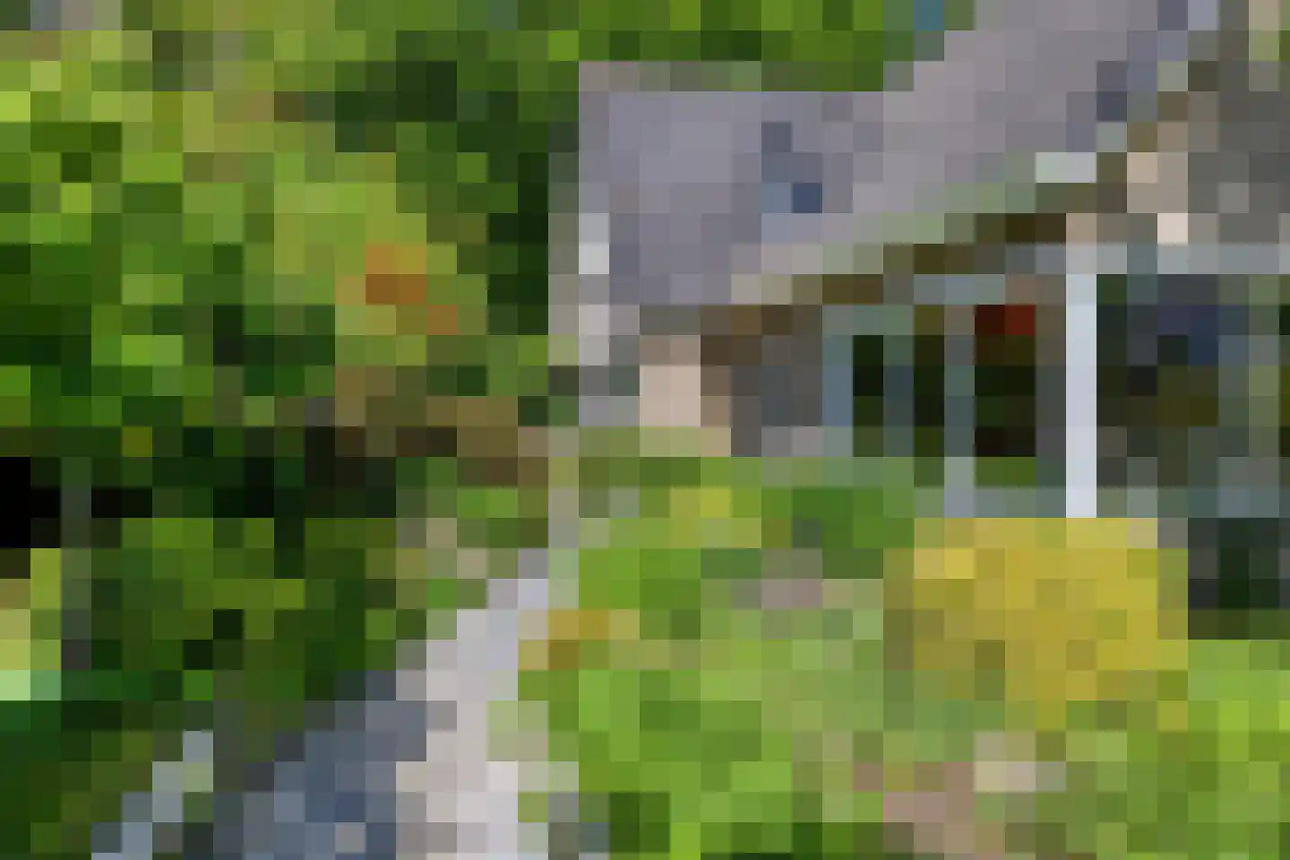 Veenmos 10 Veenendaal thumbnail 7
