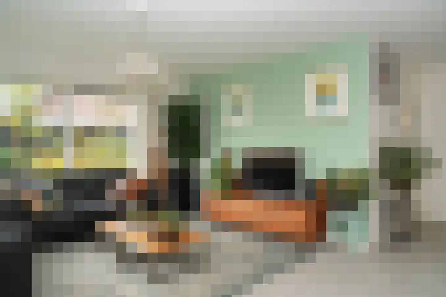 Veenmos 10 Veenendaal thumbnail 8