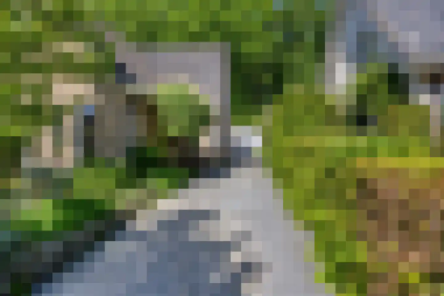 Veenmos 10 Veenendaal thumbnail 8