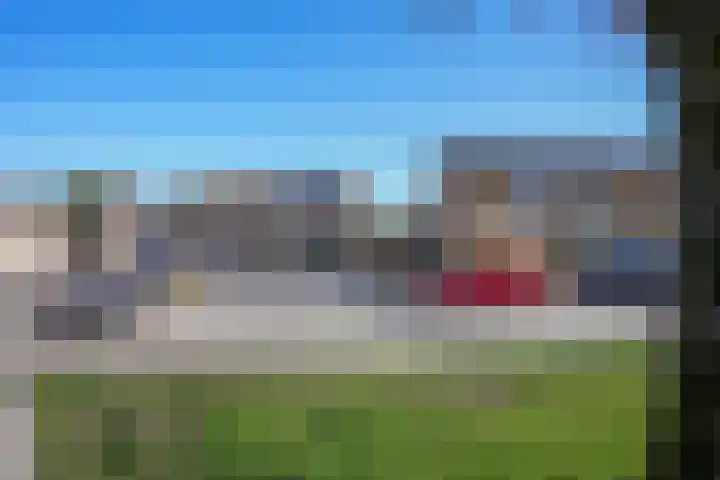 Veenmos 101 Kampen