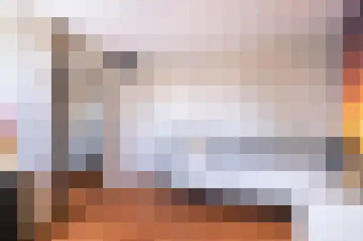 Veenmos 101 Kampen thumbnail 14
