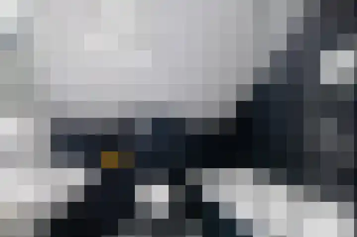 Veenmos 101 Kampen thumbnail 15