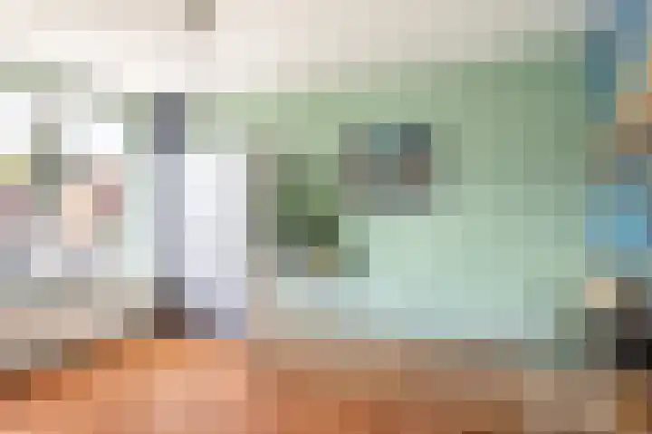 Veenmos 101 Kampen thumbnail 17