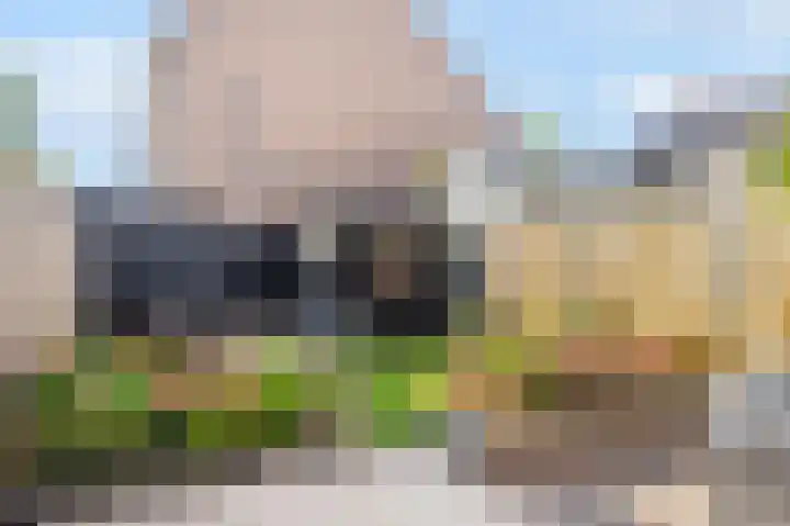 Veenmos 101 Kampen thumbnail 25