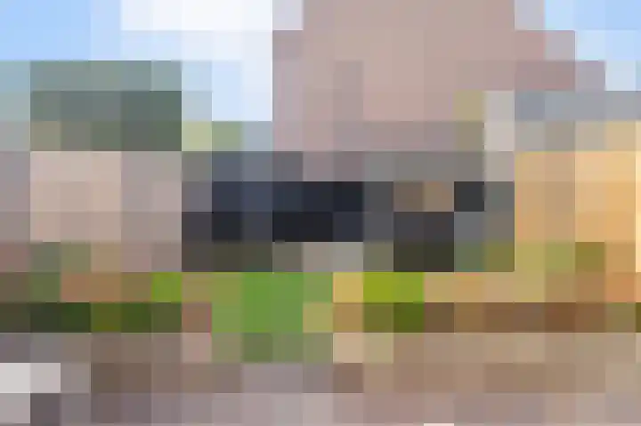 Veenmos 101 Kampen thumbnail 26