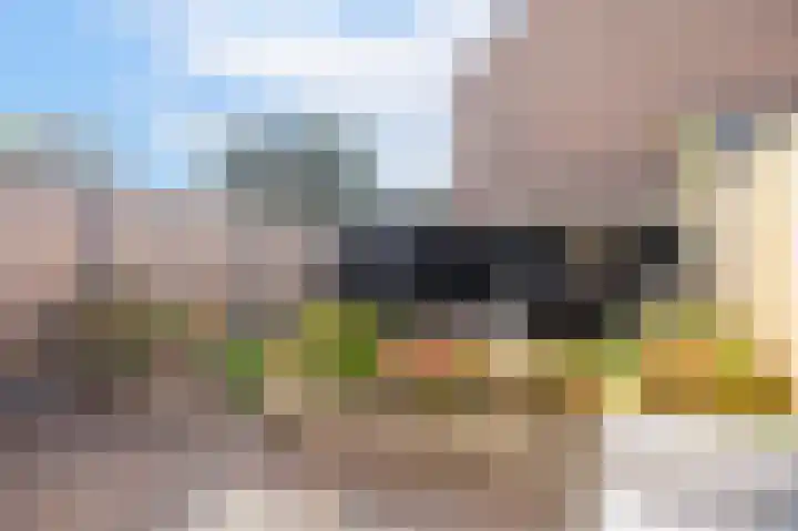 Veenmos 101 Kampen thumbnail 27