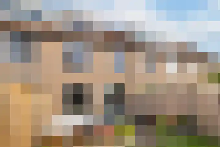 Veenmos 101 Kampen thumbnail 28