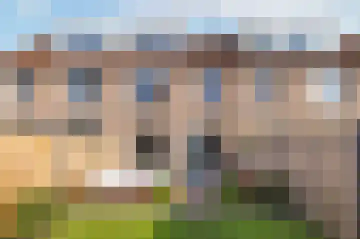 Veenmos 101 Kampen thumbnail 29