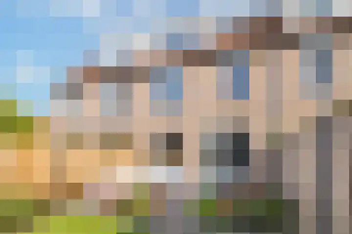 Veenmos 101 Kampen thumbnail 30