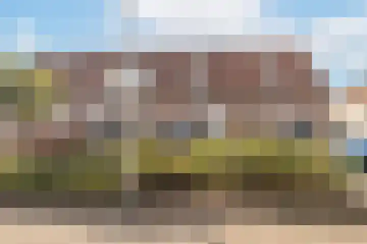 Veenmos 101 Kampen thumbnail 31